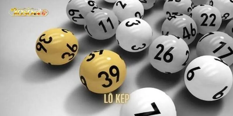 Tìm Hiểu Lô Kép Là Gì? Bật Mí Cách Soi Cầu Siêu Chuẩn trên xoso66