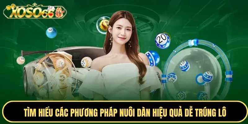 Dàn Đề Là Gì - Cập Nhật Phương Pháp Từ Chuyên Gia Xoso66