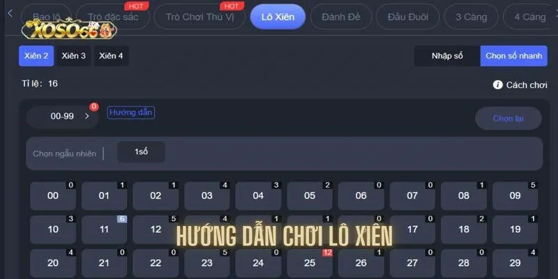 Hướng dẫn từng thao tác cần thực hiện khi cá cược tại xoso66 